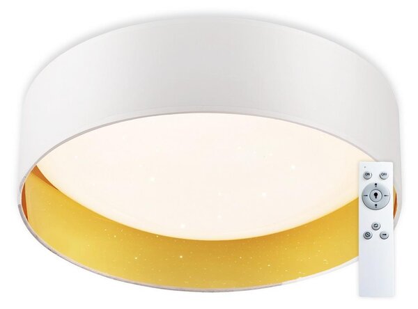 Top Light - LED Prigušiva stropna svjetiljka LED/24W/230V +daljinski upravljač bijela