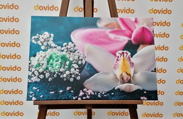 Slika divna detaljna orhideja