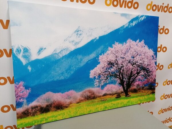 Slika čarobno staklo usred planina