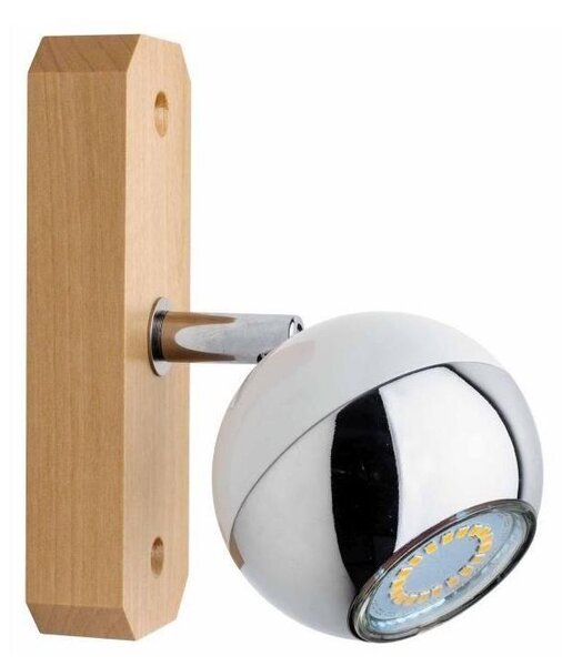 Spot-Light 2502160 - Zidna reflektorska svjetiljka BIANCA 1xGU10/50W/230V breza