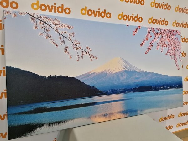 Slika pogled s jezera na Fuji