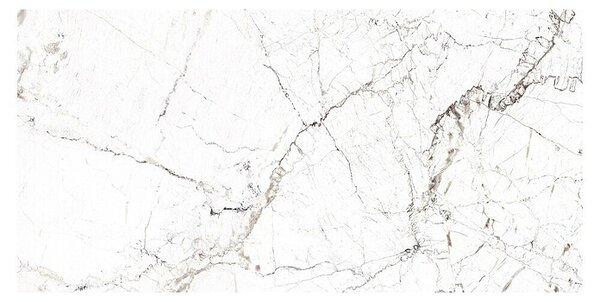 Porculanska pločica Windsor Burgundy (60 x 120 cm, Bijela, Mat)