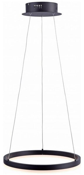 Paul Neuhaus 2381-13 - LED Prigušivi luster na sajli TITUS LED/28W/230V