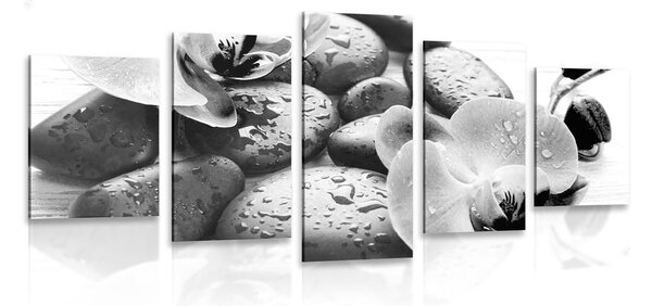 5-dijelna slika prekrasan sklad kamenja i orhideje u crno-bijelom dizajnu