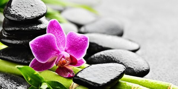 Slika wellness mrtva priroda s ljubičastom orhidejom