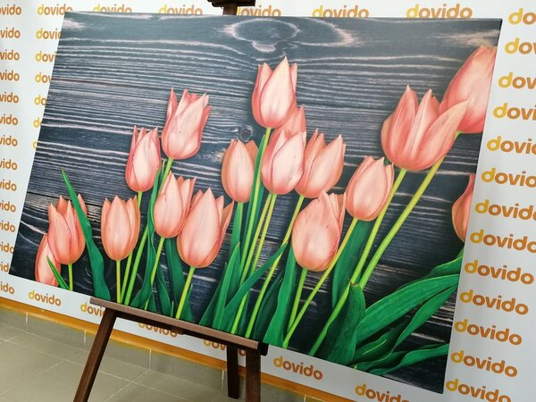 Slika divni narančasti tulipani na drvenoj podlozi