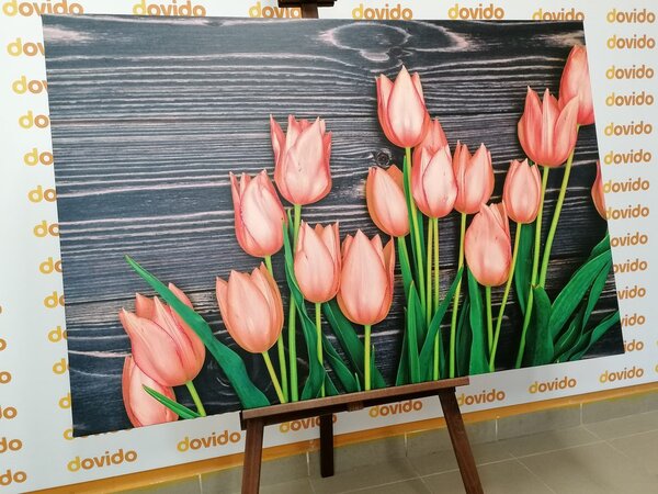 Slika divni narančasti tulipani na drvenoj podlozi