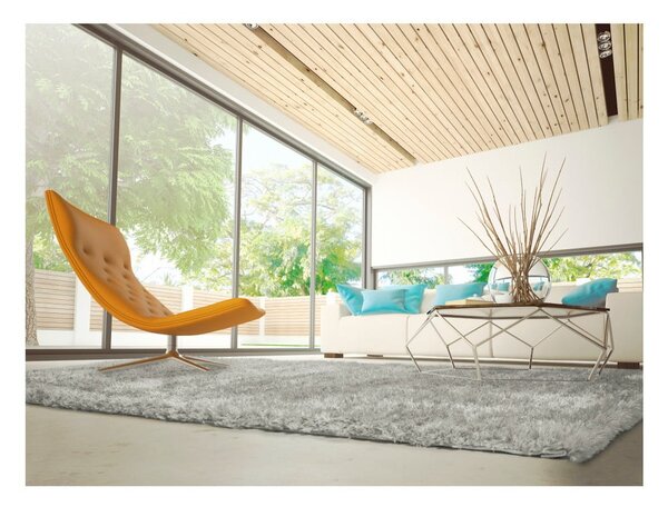 Sivi tepih Universal Aloe Liso, 120 x 170 cm