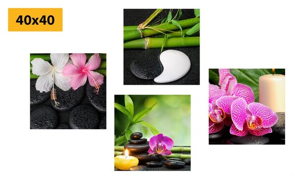 Set slika Feng Shui - mrtva priroda