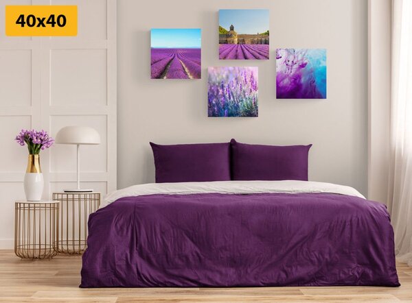 Set slika lavanda s apstrakcijom