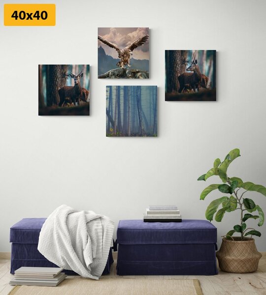 Set slika skriveni šumski pejsaži