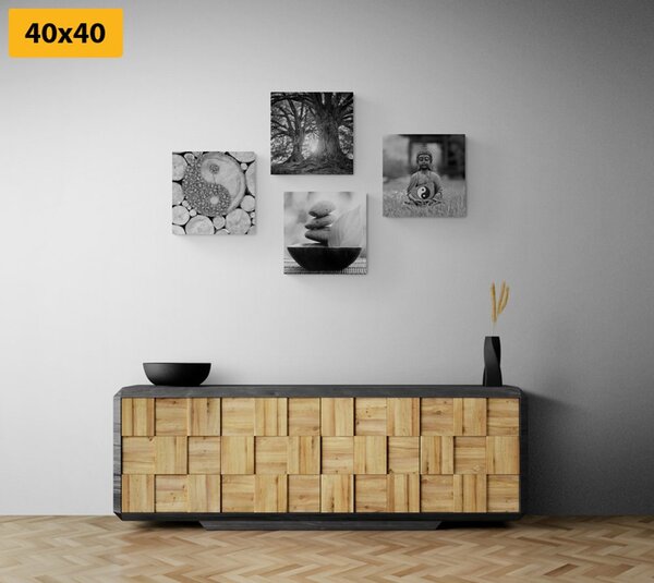 Set slika u crno-bijelom stilu Feng Shui