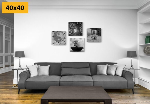 Set slika u crno-bijelom stilu Feng Shui