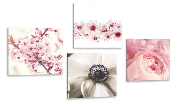 Set slika nježnost cvijeća