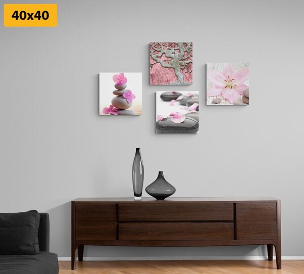 Set slika Feng Shui u nježnom dizajnu