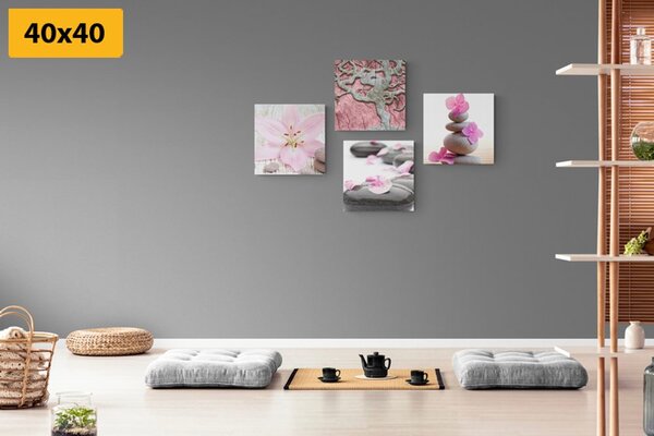 Set slika Feng Shui u nježnom dizajnu