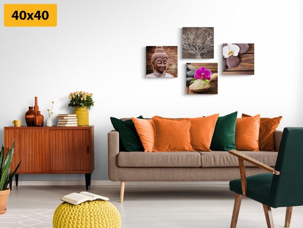 Set slika Feng Shui u prirodnom dizajnu