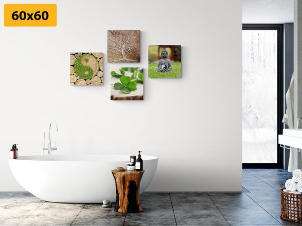 Set slika Feng Shui s elementima prirode