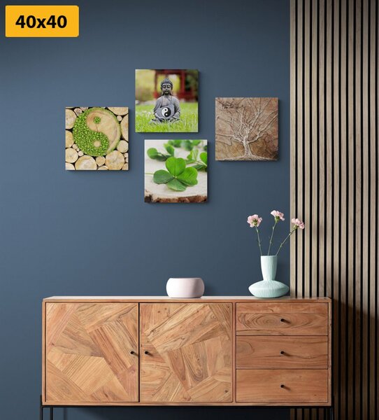 Set slika Feng Shui s elementima prirode