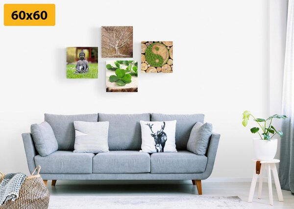 Set slika Feng Shui s elementima prirode