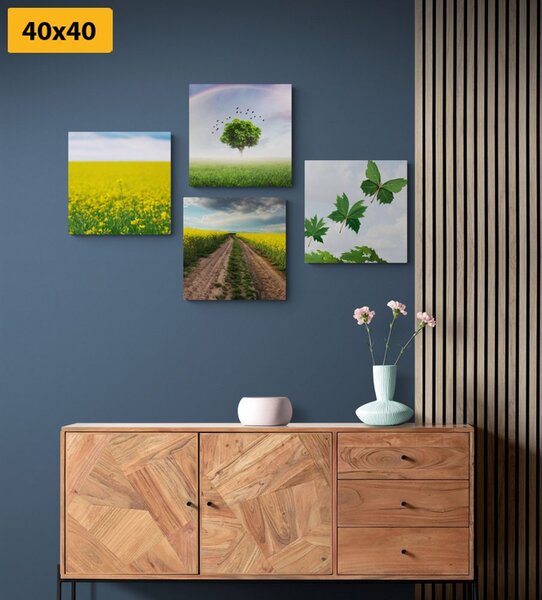 Set slika sjajna priroda