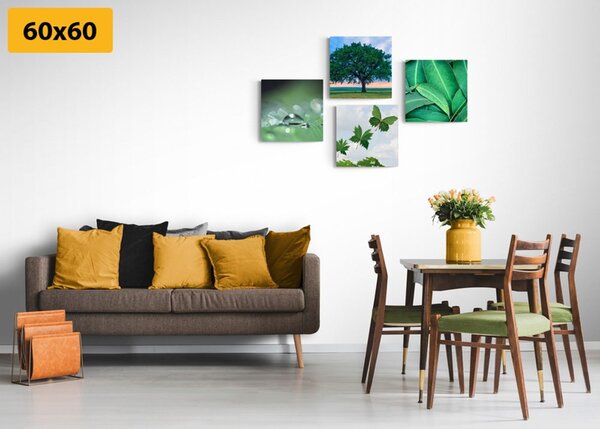 Set slika priroda puna zelenila