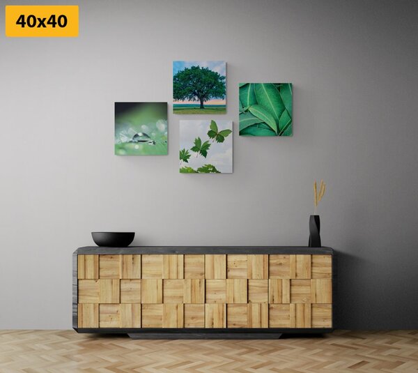Set slika priroda puna zelenila