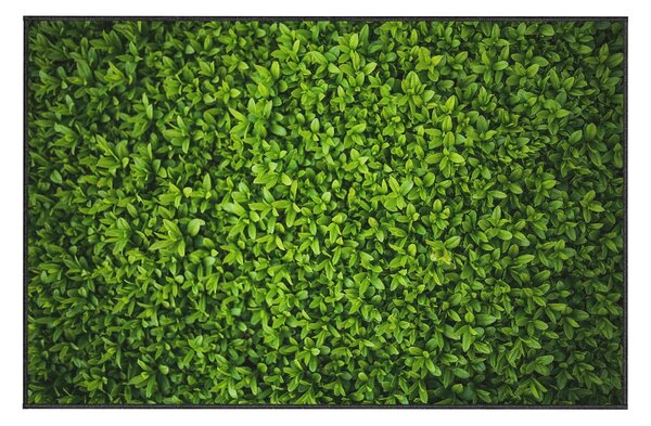 Zeleni tepih Oyo home Ivy, 100 x 140 cm