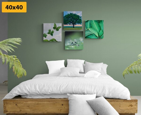 Set slika priroda puna zelenila