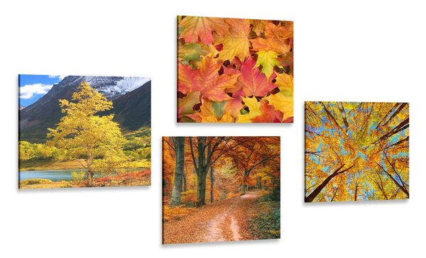 Set slika jesenska priroda u prekrasnim bojama - 4x 40x40