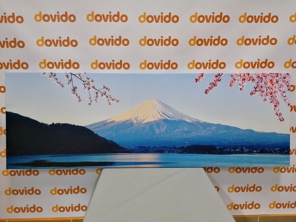 Slika pogled na planinu Fuji