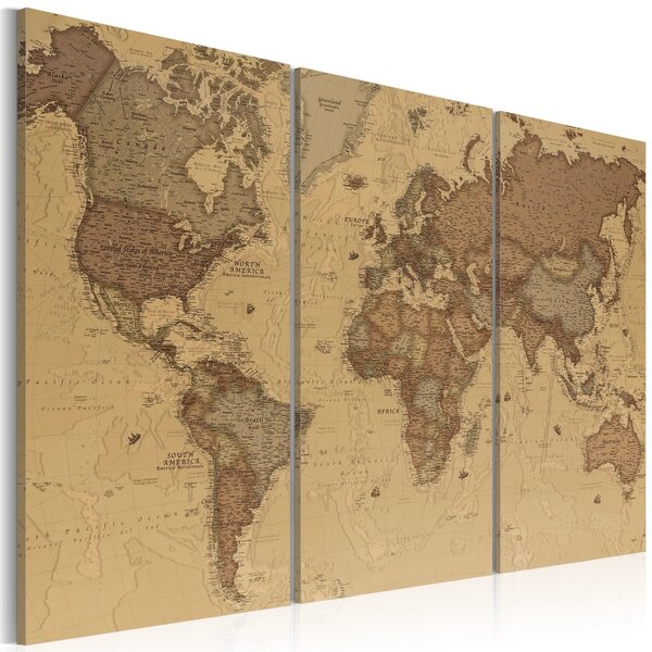 Slika - Stylish World Map