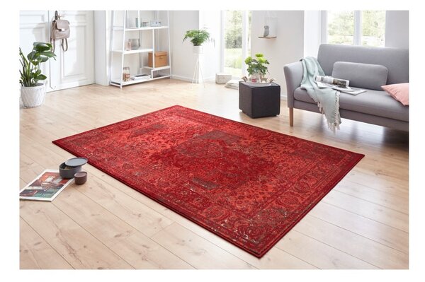 Crveni tepih Hanse Home Celebration Plume, 120 x 170 cm