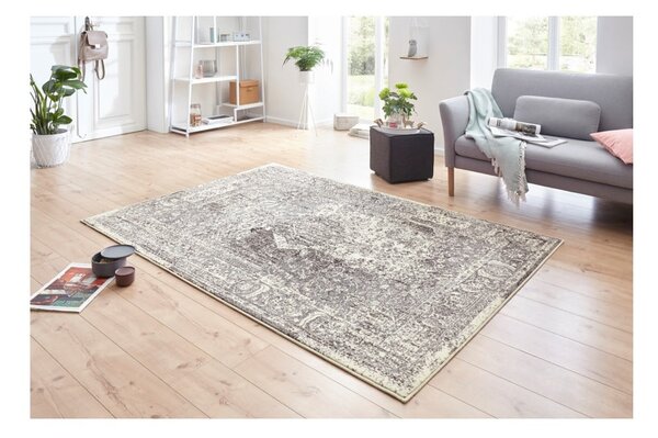 Sivo-krem tepih Hanse Home Celebration Plume, 120 x 170 cm
