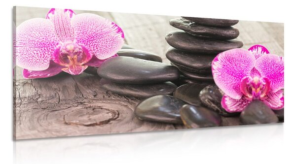Slika orhideja i Zen kamenje na drvenoj podlozi
