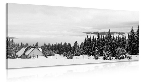 Slika mala vikendica u snježnom krajoliku u crno-bijelom dizajnu