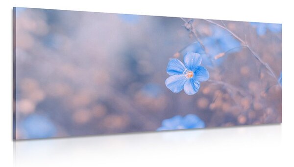 Slika plavo cvijeće na vintage pozadini