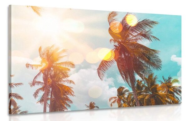 Slika sunčeve zrake iznad palmi