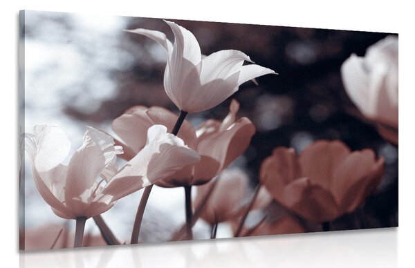 Slika proljetni tulipani u parku