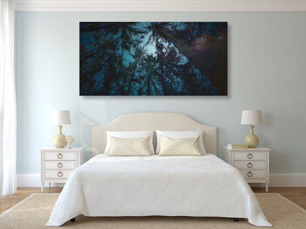 Slika noć ispod noćnog neba