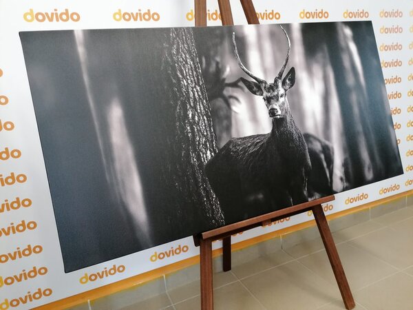 Slika jelen u šumi u crno-bijelom dizajnu