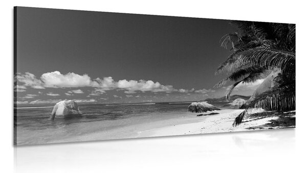 Slika plaža Anse Source u crno-bijelom dizajnu