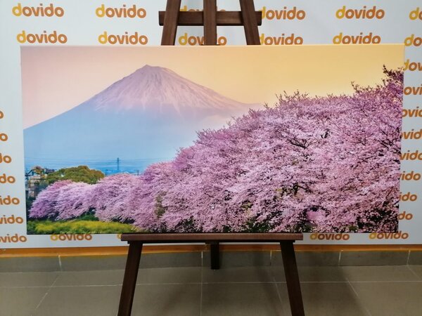 Slika prekrasni Japan