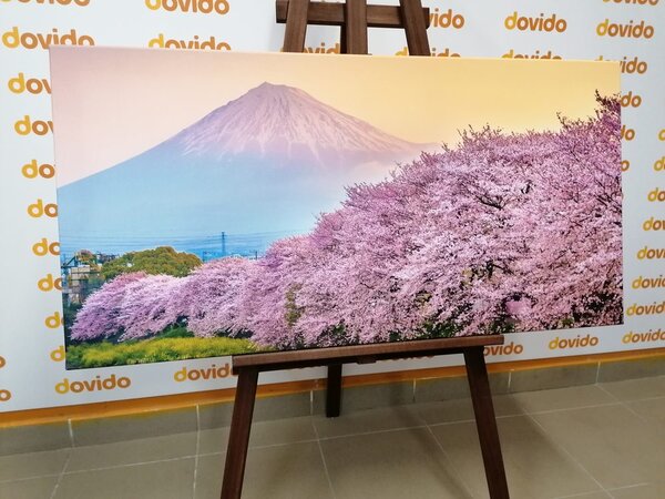 Slika prekrasni Japan