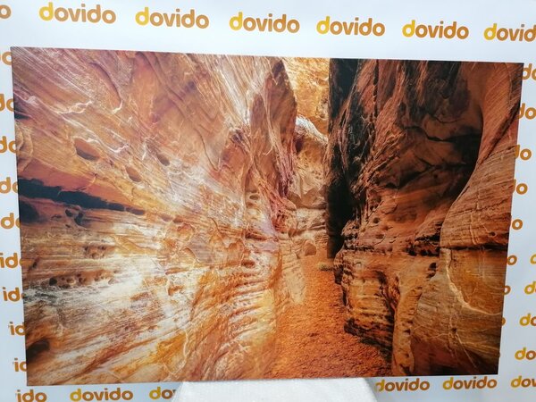 Slika puteljak Grand Canyonom
