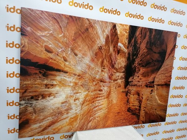 Slika puteljak Grand Canyonom