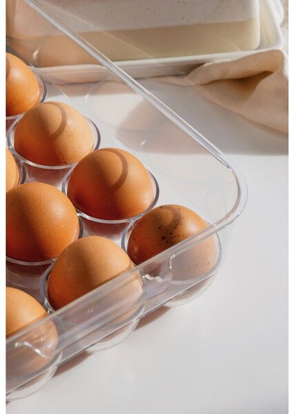 Plastičan organizator za jaja u hladnjaku 23x17,5 cm – Casa De Engel