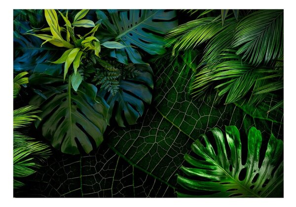 Tapeta velikog formata Artgeist Dark Jungle, 400 x 280 cm