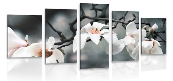 5-dijelna slika magnolija koja se budi