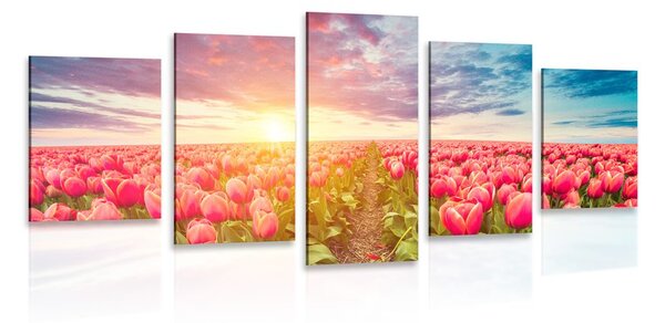 5-dijelna slika izlazak sunca iznad livade s tulipanima